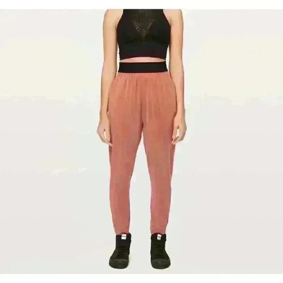 Lululemon Balzo Jogger *lululemon lab, Canyon Rock, Sz10, GUC, 2 small bleach sp - Picture 1 of 10
